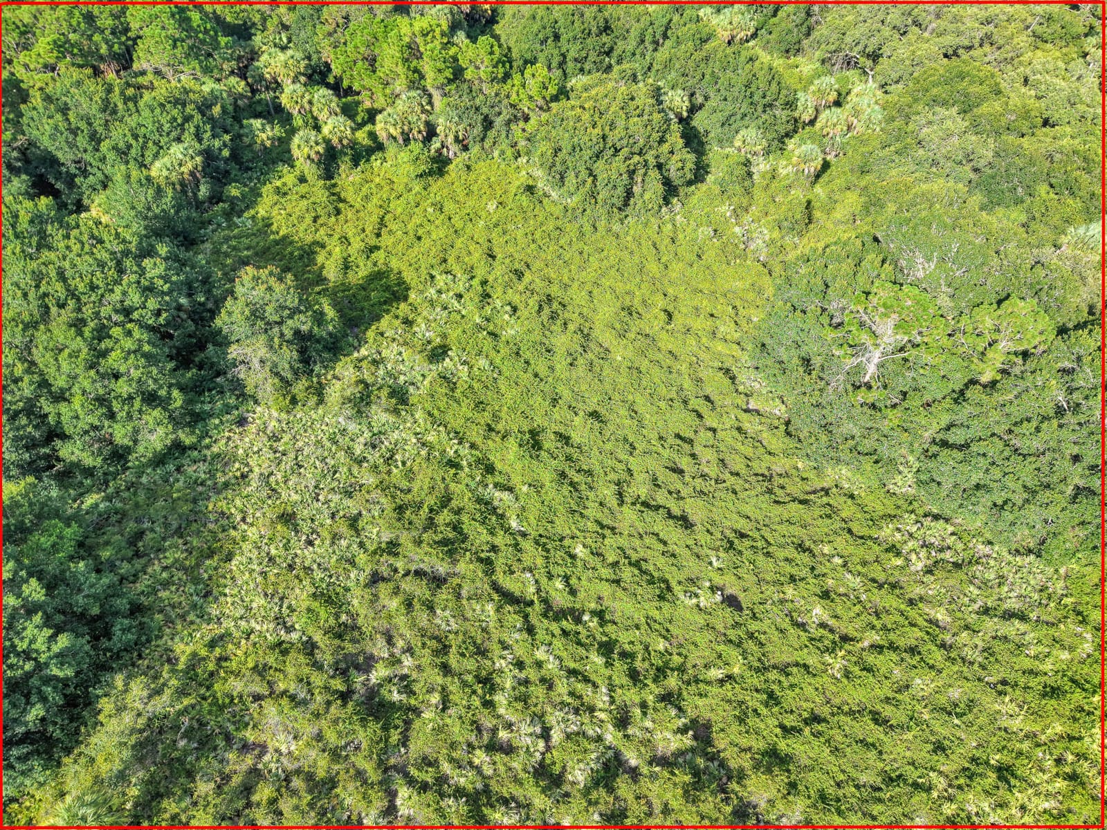 100 NW 38th Avenue, Okeechobee, FL 34972 photo 15