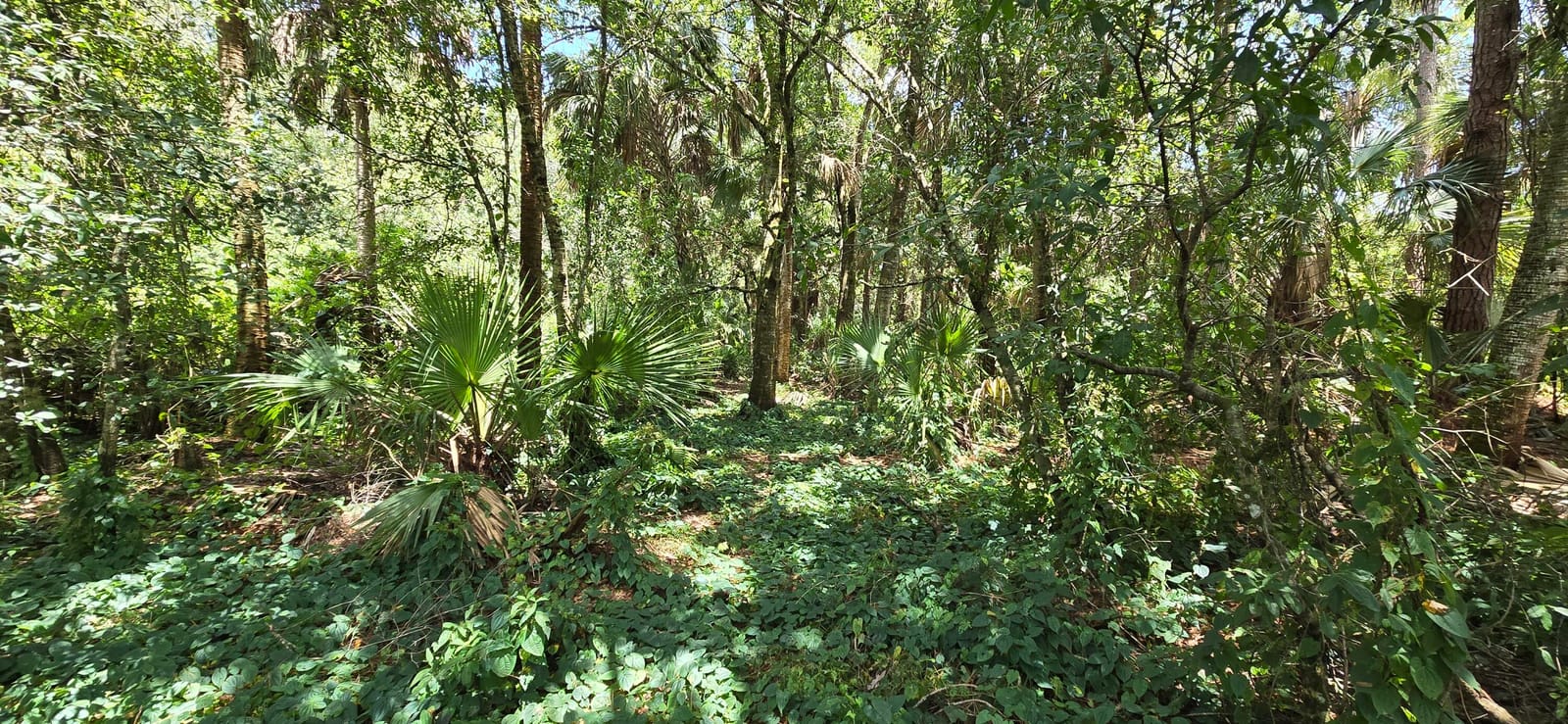 100 NW 38th Avenue, Okeechobee, FL 34972 photo 29