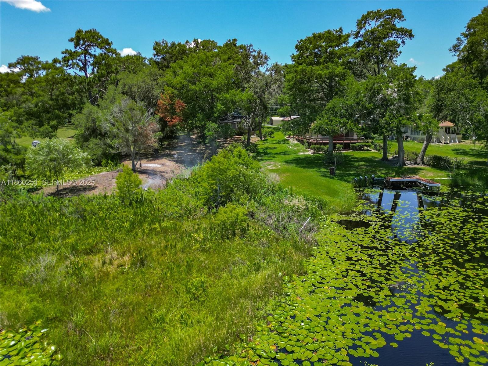 8781 S Lakeshore Drive FLORAL CITY, FL 34436 photo 23