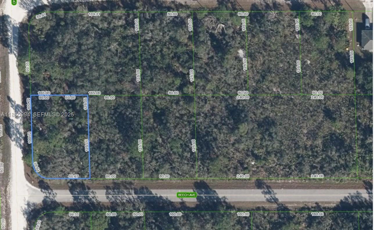 3031 Beech Avenue, Lake Placid, FL 33852, Lake Placid