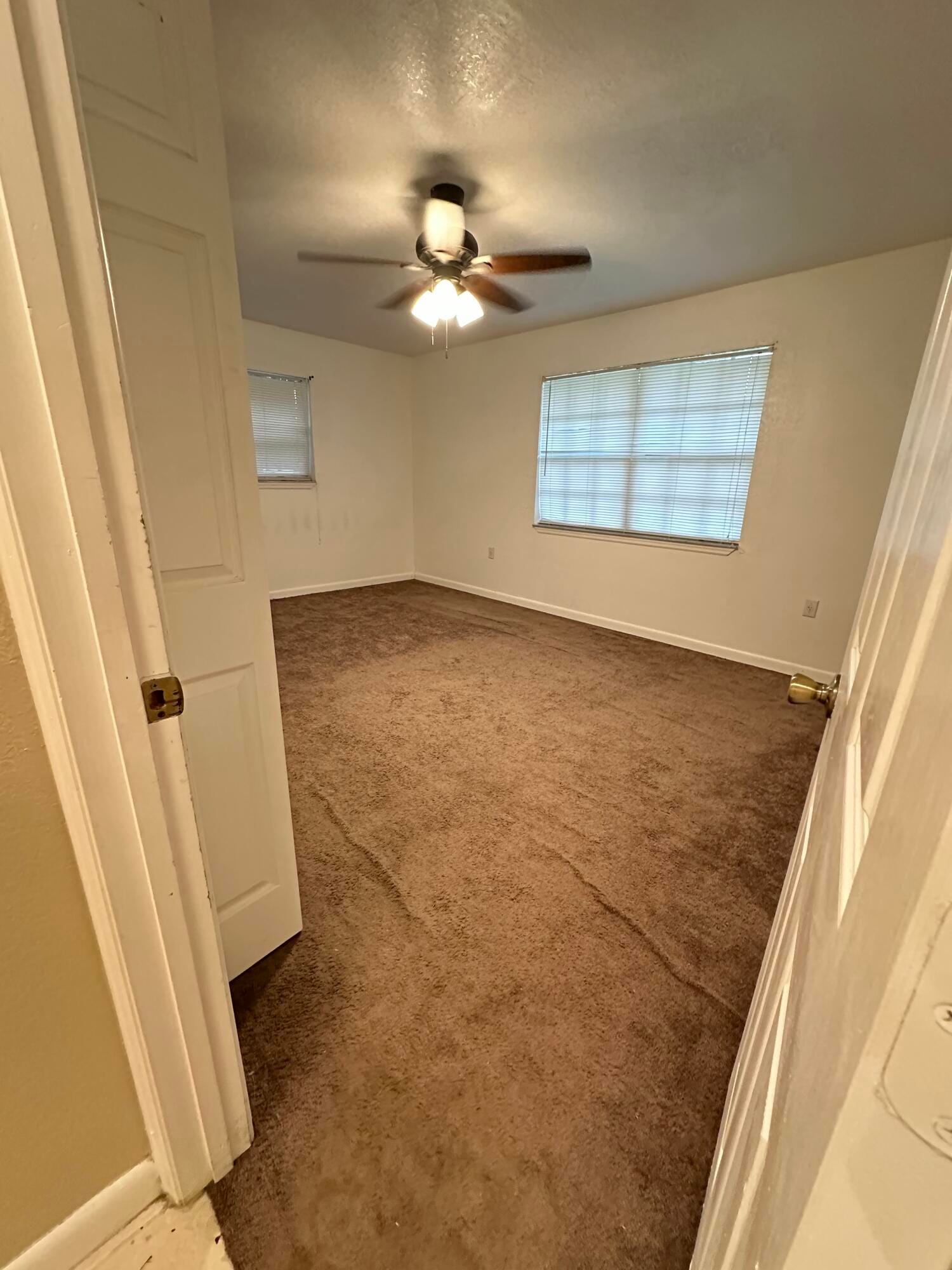 8206 Bayard Road — photo 5