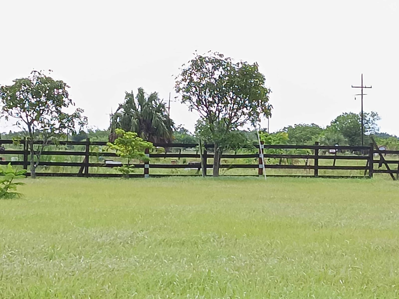 0 SW Fox Brown Road, Indiantown, FL 34956