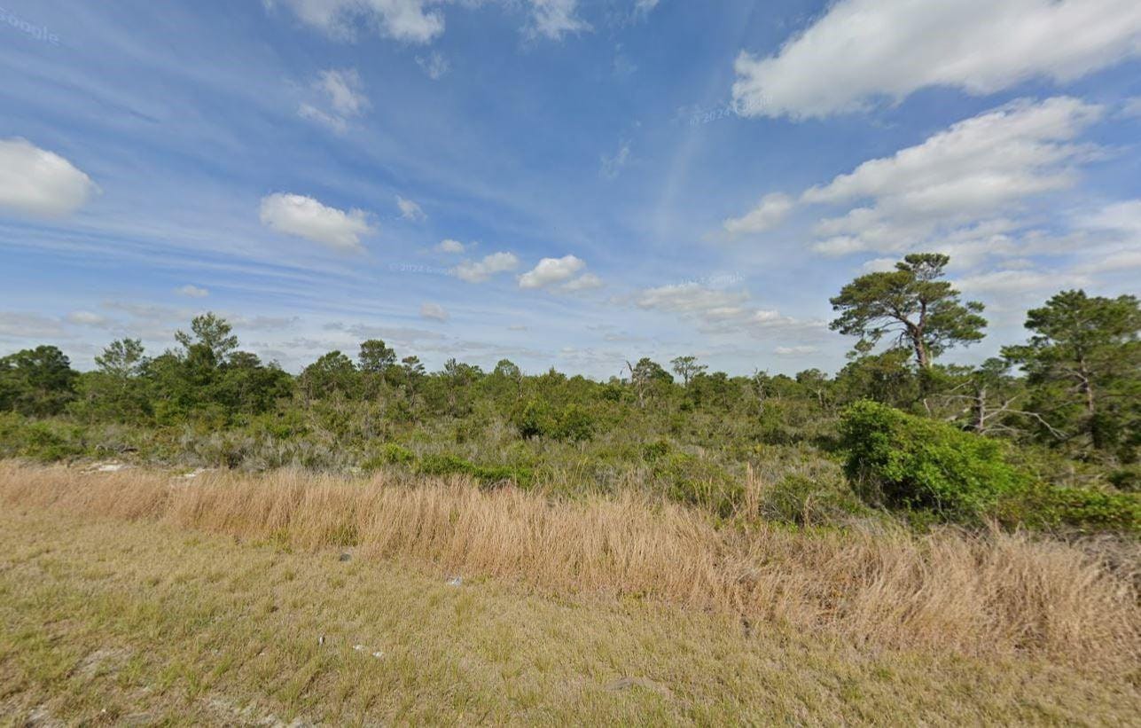237 Sandpiper Street, Lake Placid, FL 33852 photo 1