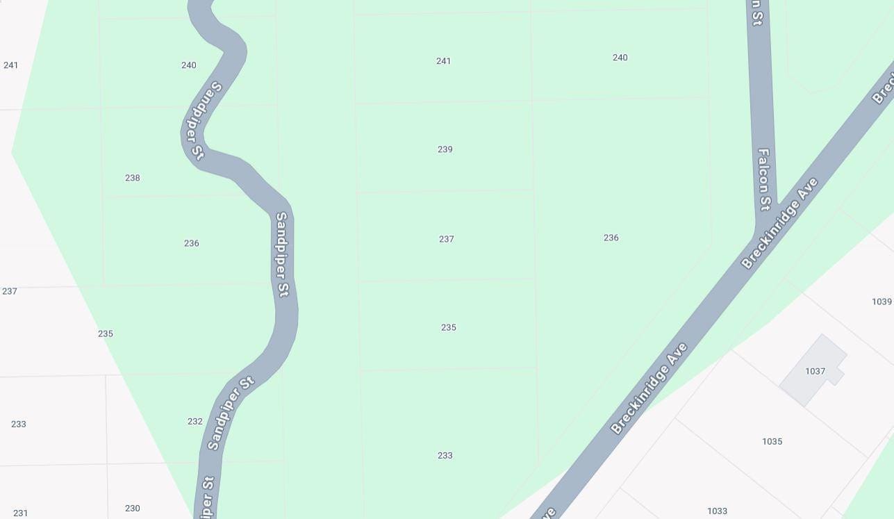 237 Sandpiper Street, Lake Placid, FL 33852 photo 7