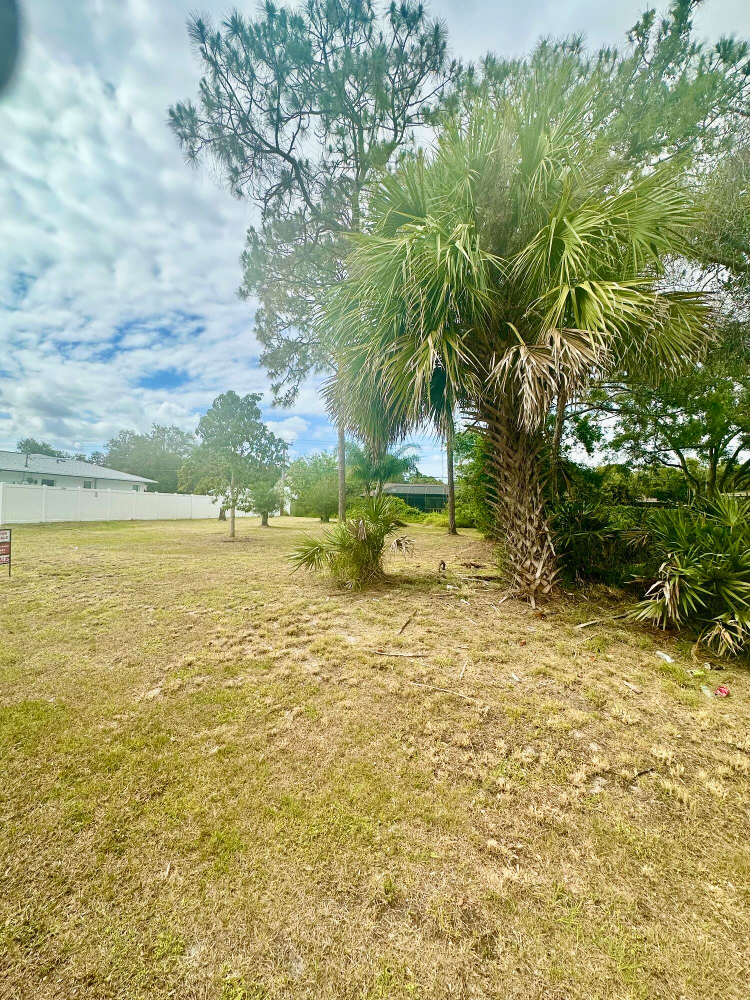 00 Penny Lane — photo 2