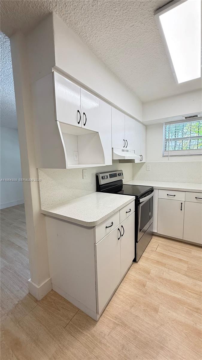 2498 SW 17th Avenue 4105, Miami, FL 33145 photo 16