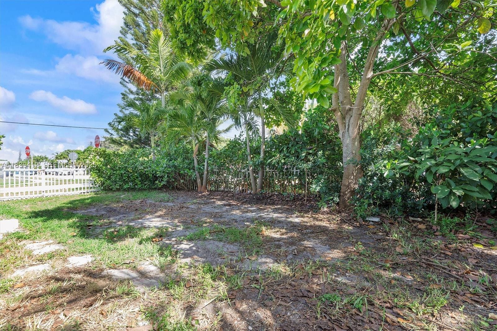 11100 NE 12th Avenue, Miami, FL 33161 photo 28