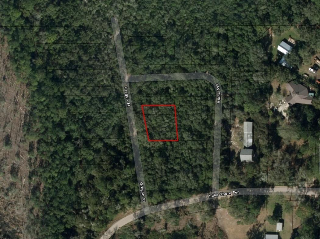 0 Oregon Street, Interlachen, FL 32148 photo 3