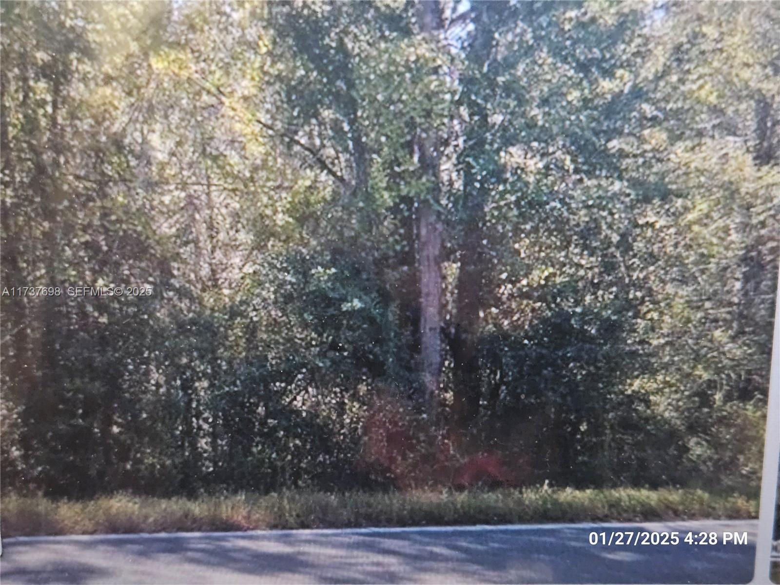 1146 County Rd 20a, FL 32640, Hawthorne