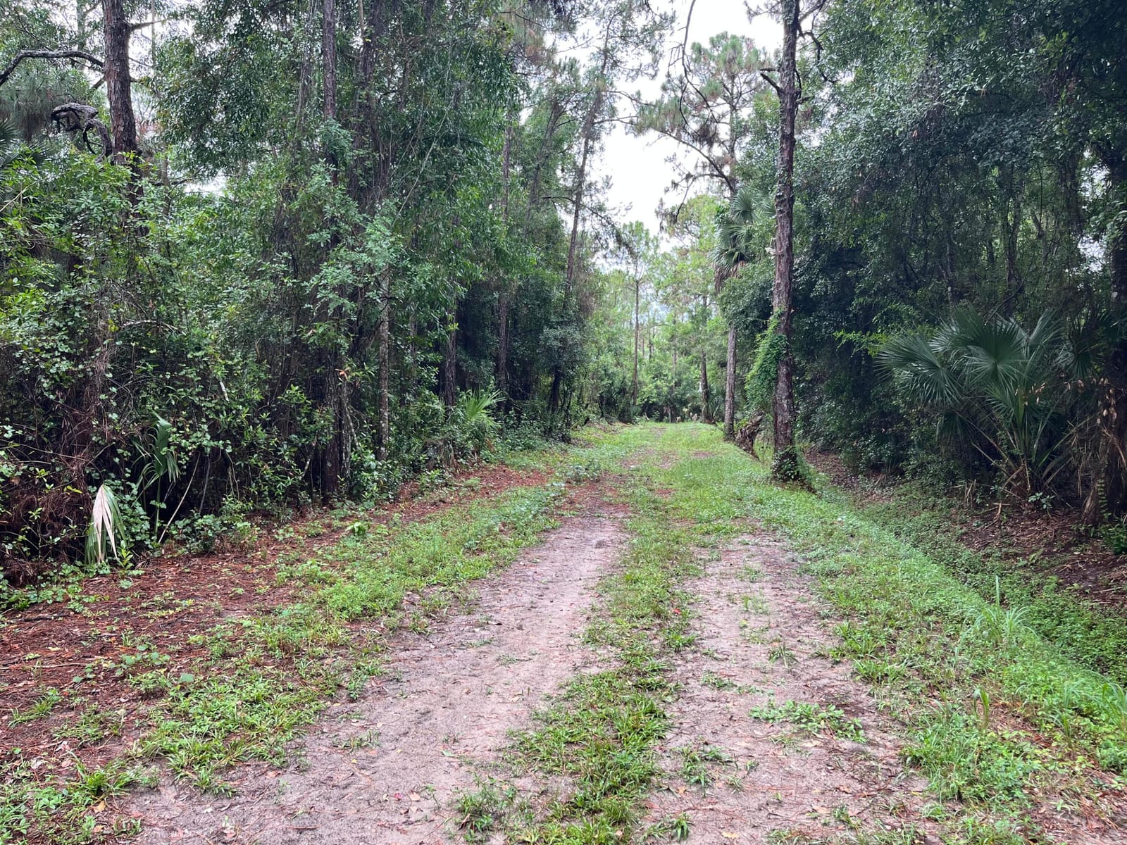 Tbd 175th Road N, Jupiter, FL 33478 photo 23