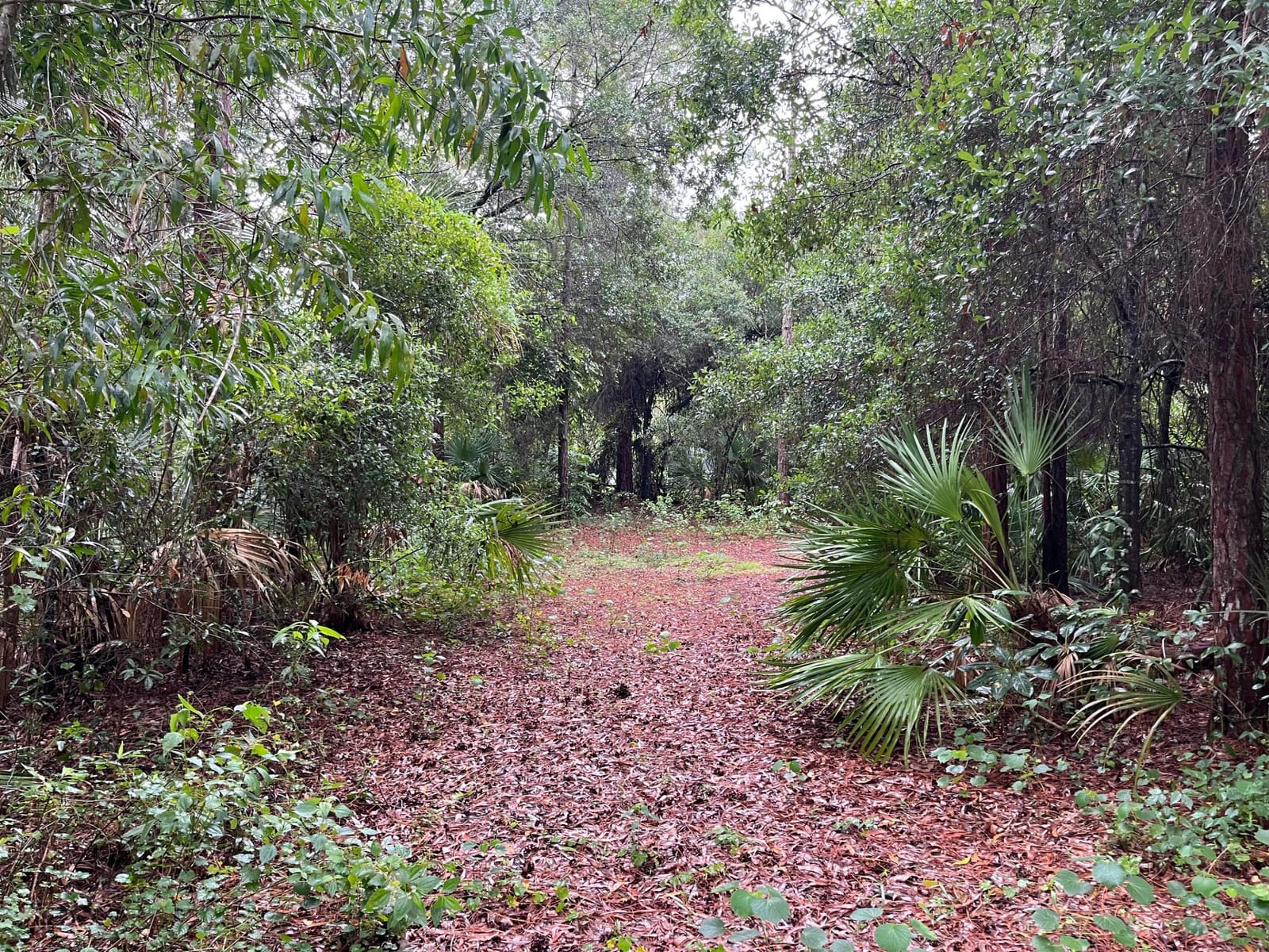 Tbd 175th Road N, Jupiter, FL 33478 photo 24