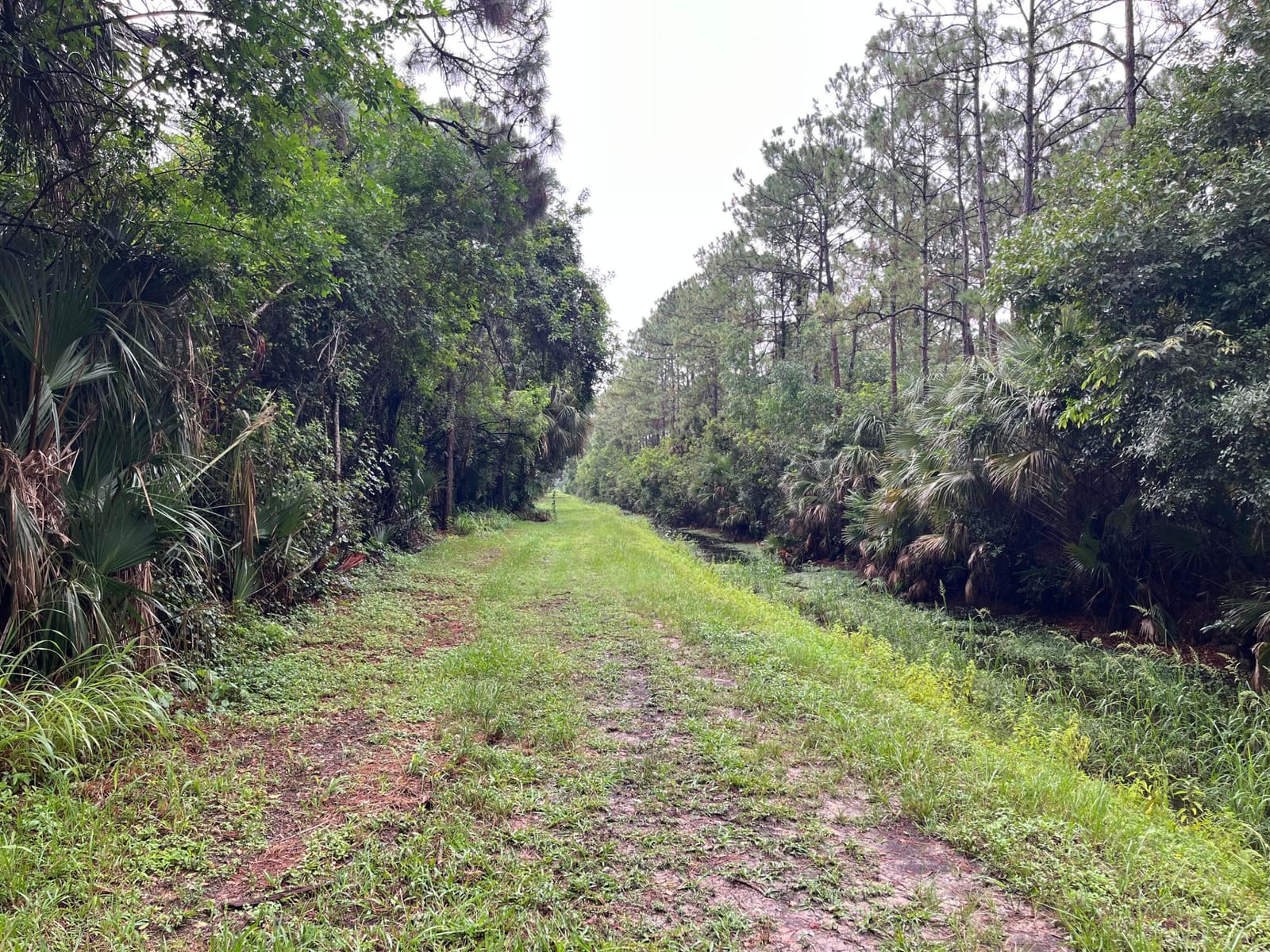 Tbd 175th Road N, Jupiter, FL 33478 photo 25