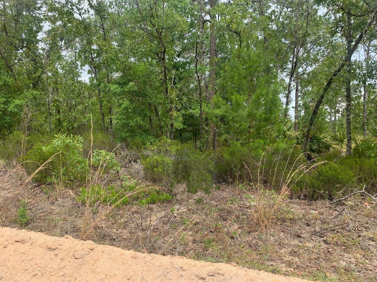 0 Miami Street, Interlachen, FL 32148, Interlachen