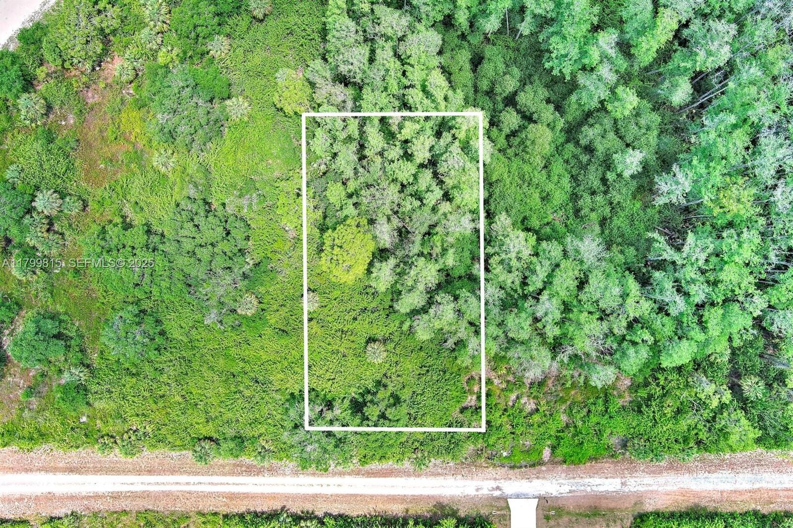 520 Woodman Drive — photo 3
