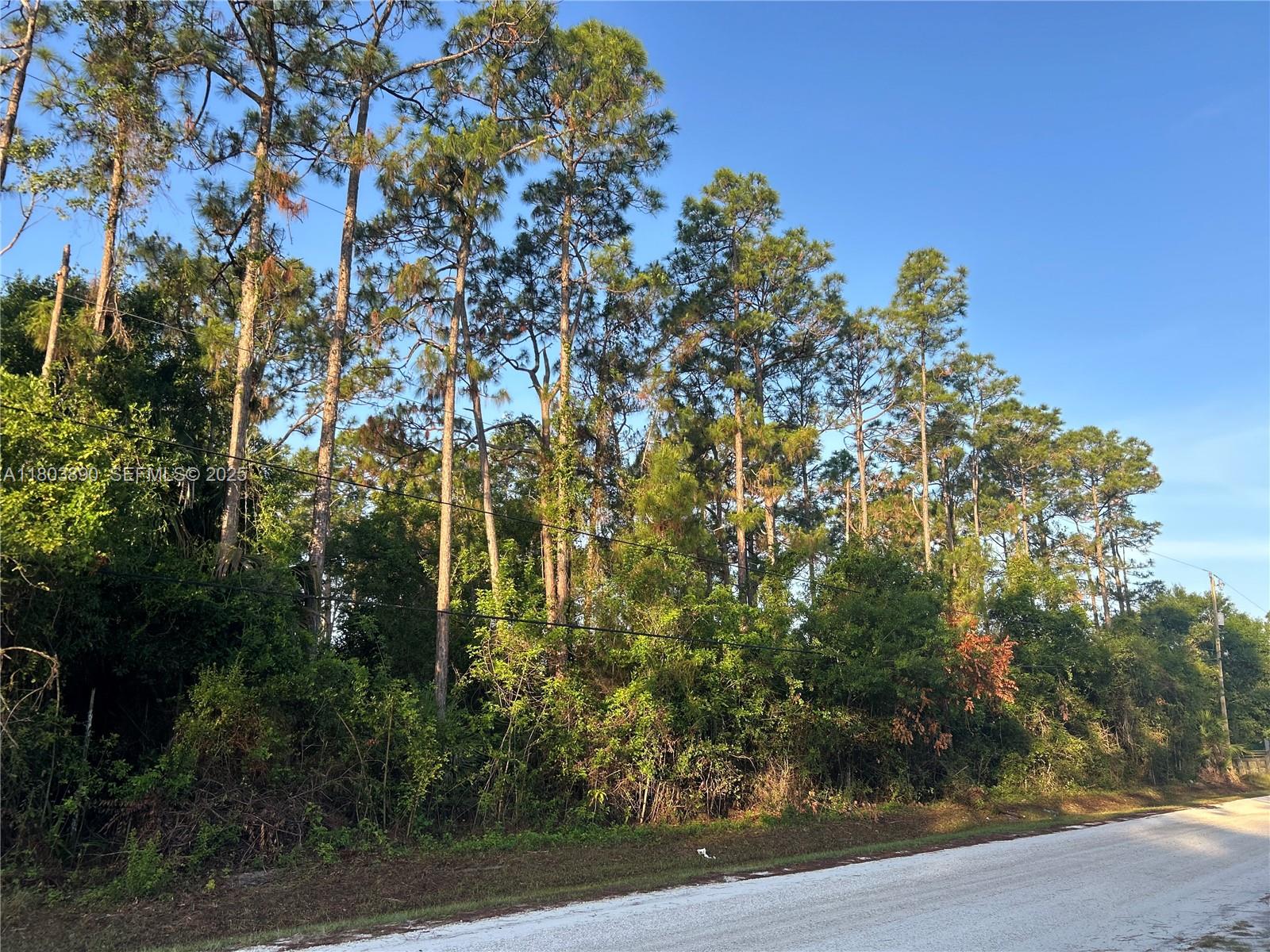 17354 75th Place N, Loxahatchee, FL 33470, Loxahatchee