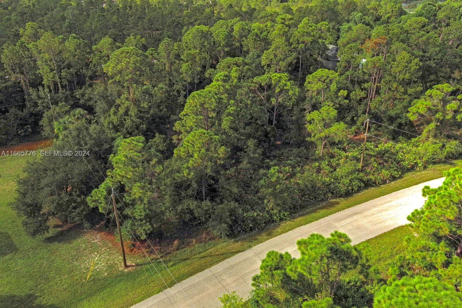 27369 N Twin Lakes Drive — photo 3