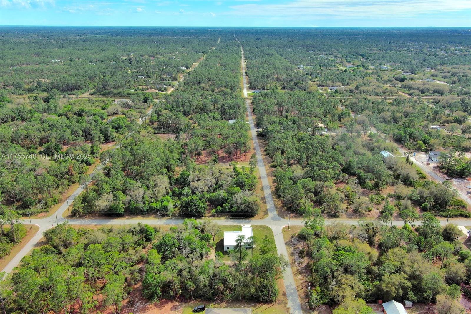 1702 Greenwood Avenue, Lehigh Acres, FL 33972 photo 18