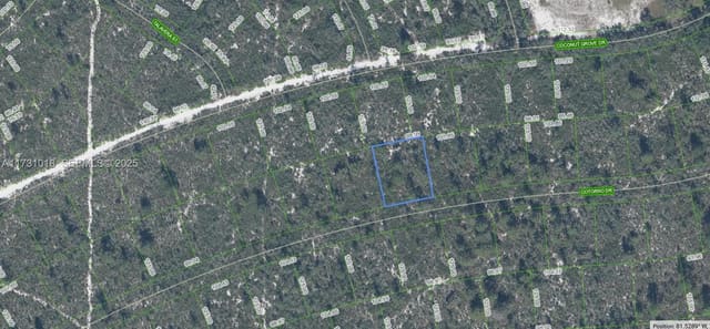 6456 Cotorro Drive, Sebring, FL 33872