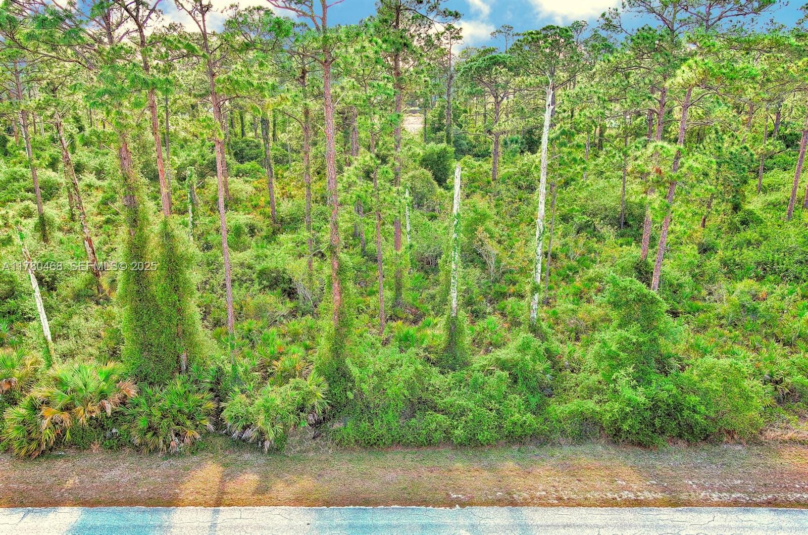 2019 Columbus Avenue, Lehigh Acres, FL 33920 photo 15