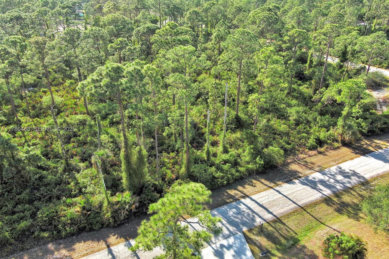 2019 Columbus Avenue, Lehigh Acres, FL 33920 photo 17