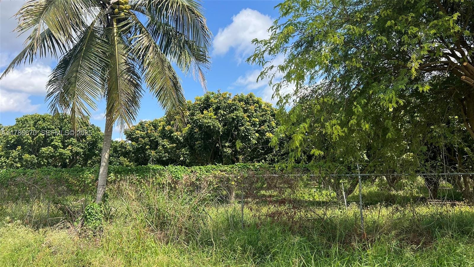 20851 SW 320 Street, Miami, FL 33030