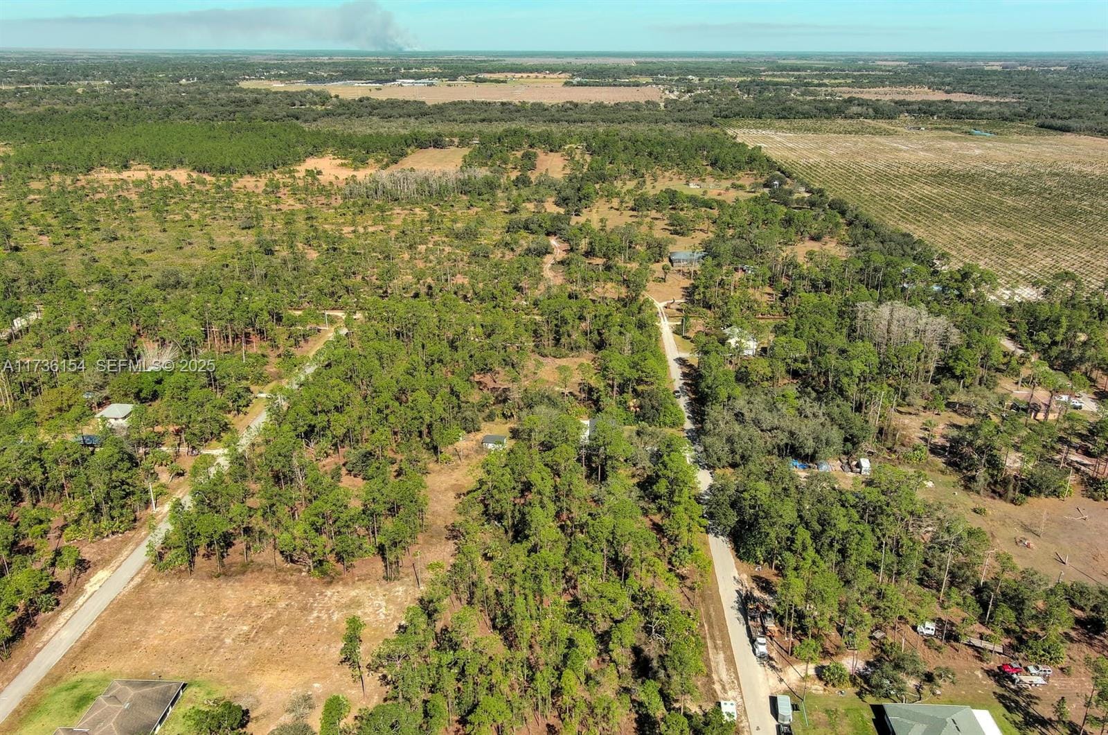 2309 Grant Avenue, Lehigh Acres, FL 33920 photo 13