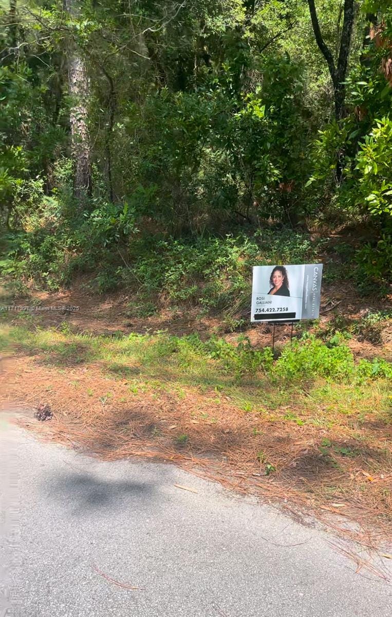 19835 SW 57 Street, Ocala, FL 34431 photo 3