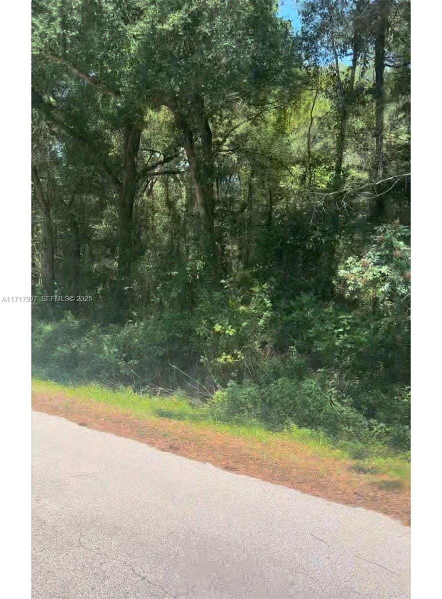 19835 SW 57 Street, Ocala, FL 34431 photo 4