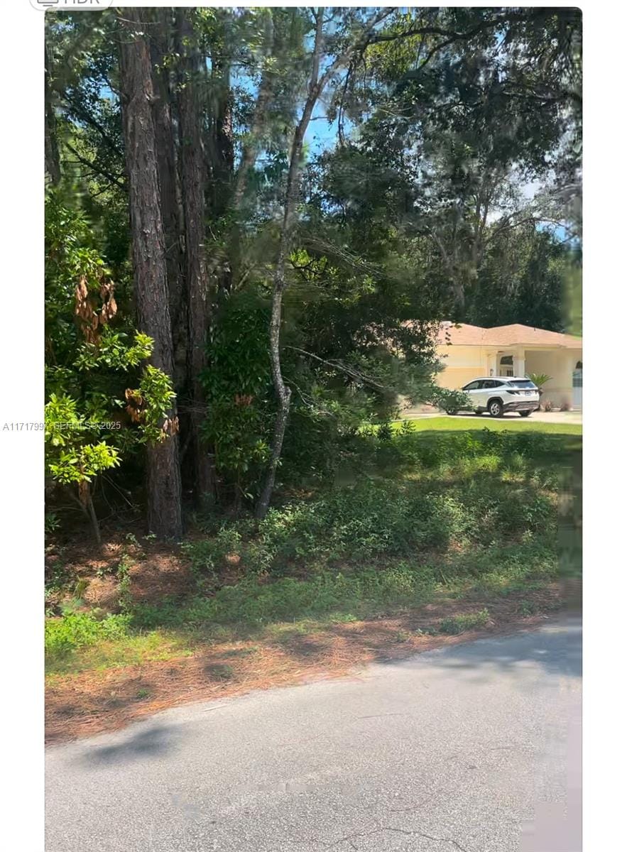 19835 SW 57 Street, Ocala, FL 34431 photo 7