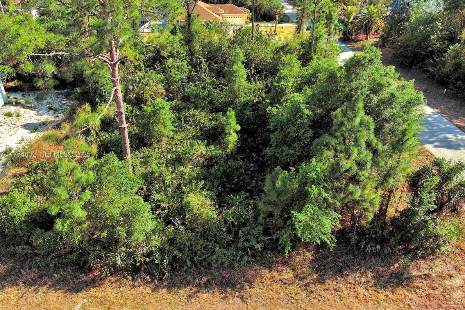 2500 E 9th Street, Lehigh Acres, FL 33936 photo 5
