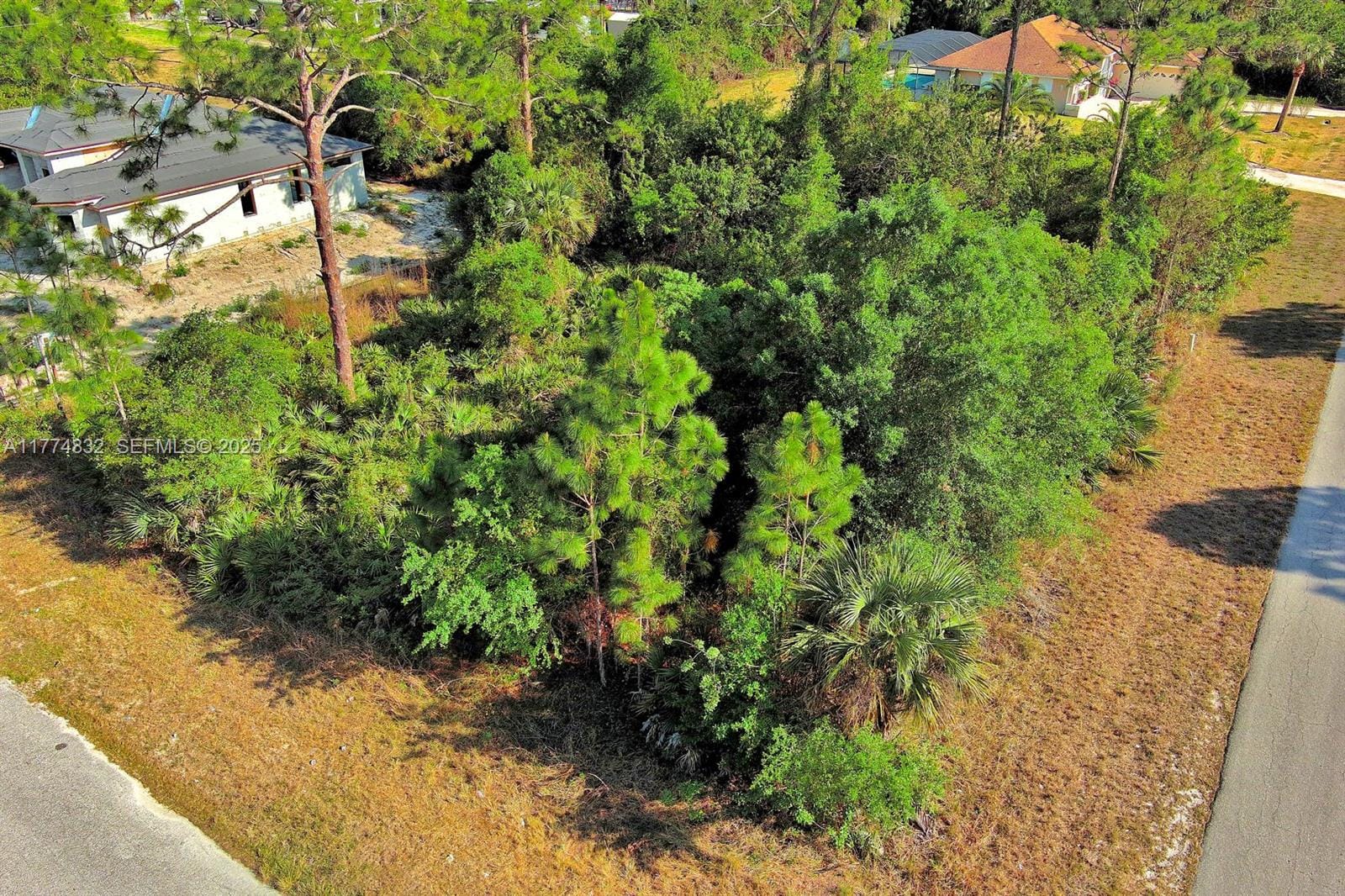 2500 E 9th Street, Lehigh Acres, FL 33936 photo 6