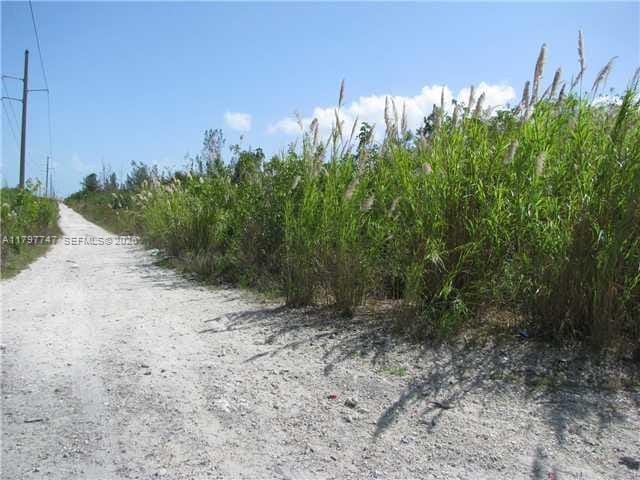 SW 137 Ave. At 360 Street — photo 3