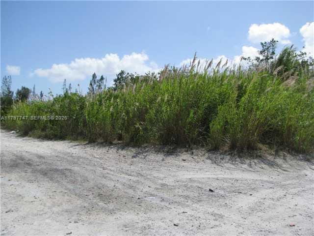 SW 137 Ave. At 360 Street — photo 4