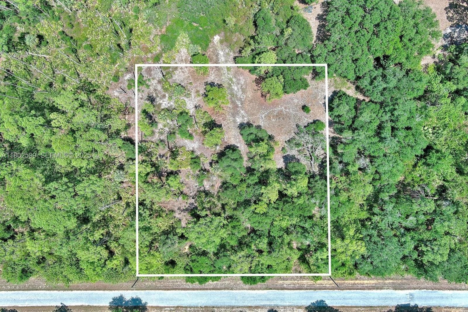 1908 Mcarthur Avenue, Lehigh Acres, FL 33972 photo 2