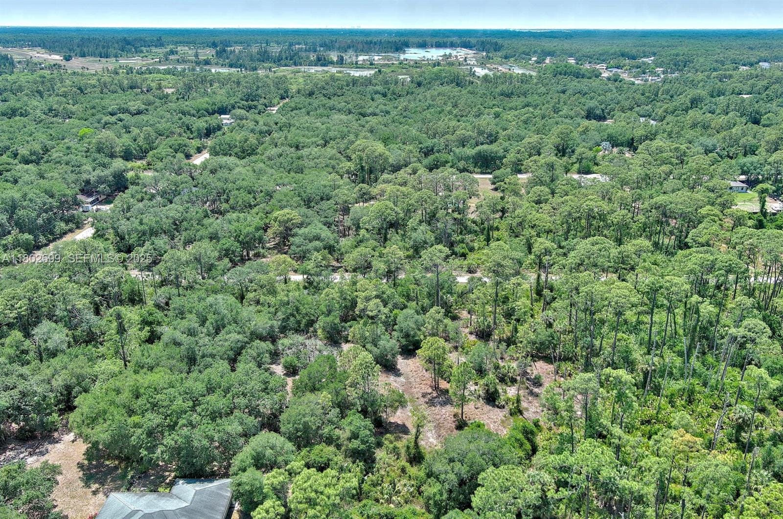 1908 Mcarthur Avenue, Lehigh Acres, FL 33972 photo 18