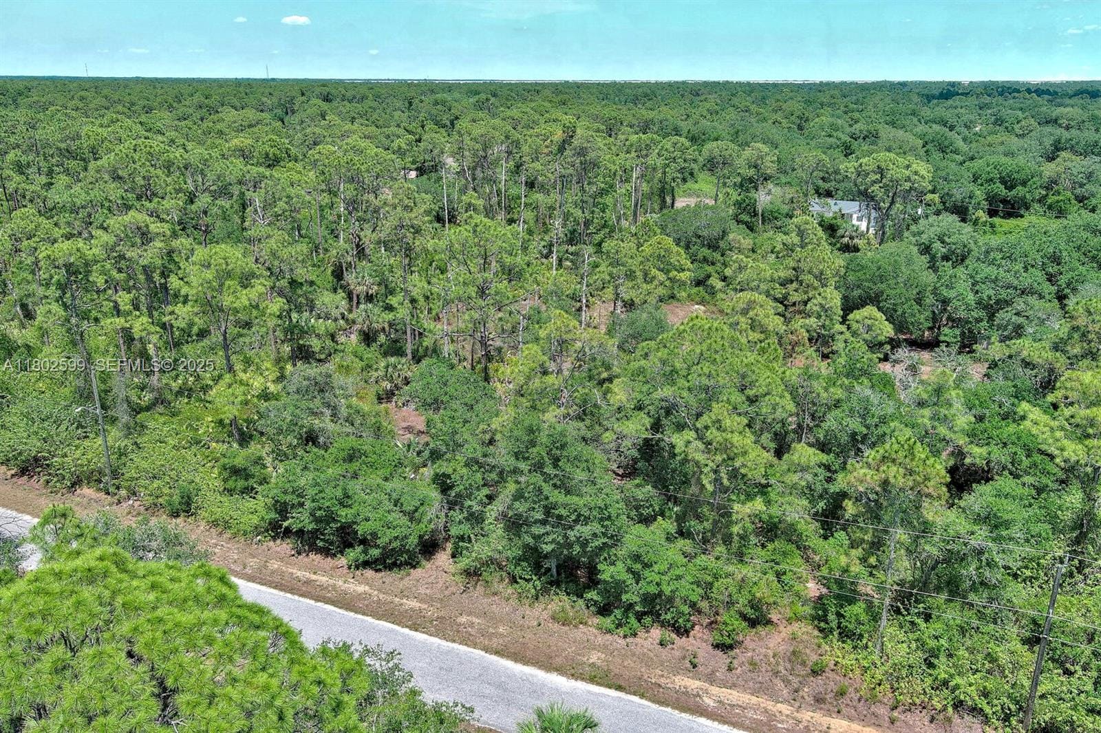 1908 Mcarthur Avenue, Lehigh Acres, FL 33972 photo 3