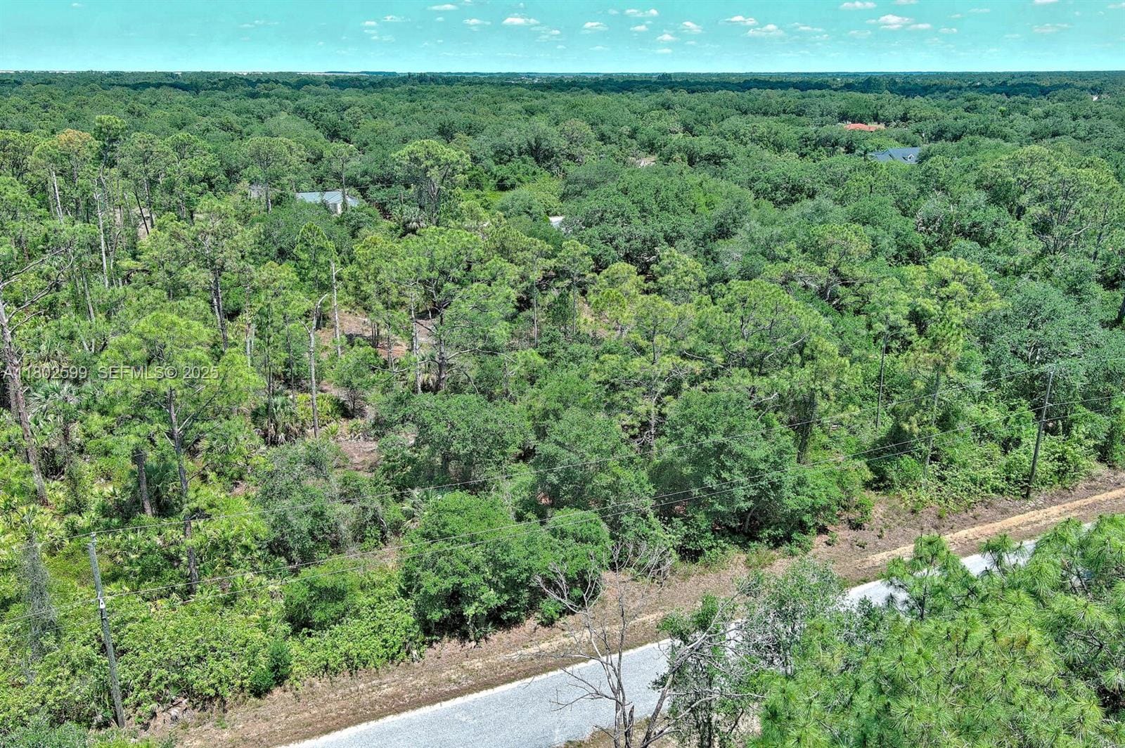 1908 Mcarthur Avenue, Lehigh Acres, FL 33972 photo 4