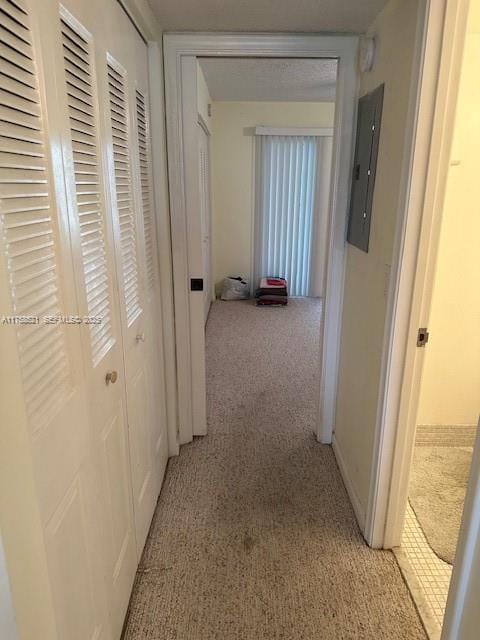1011 Ellesmere A 1011 1011 — photo 8