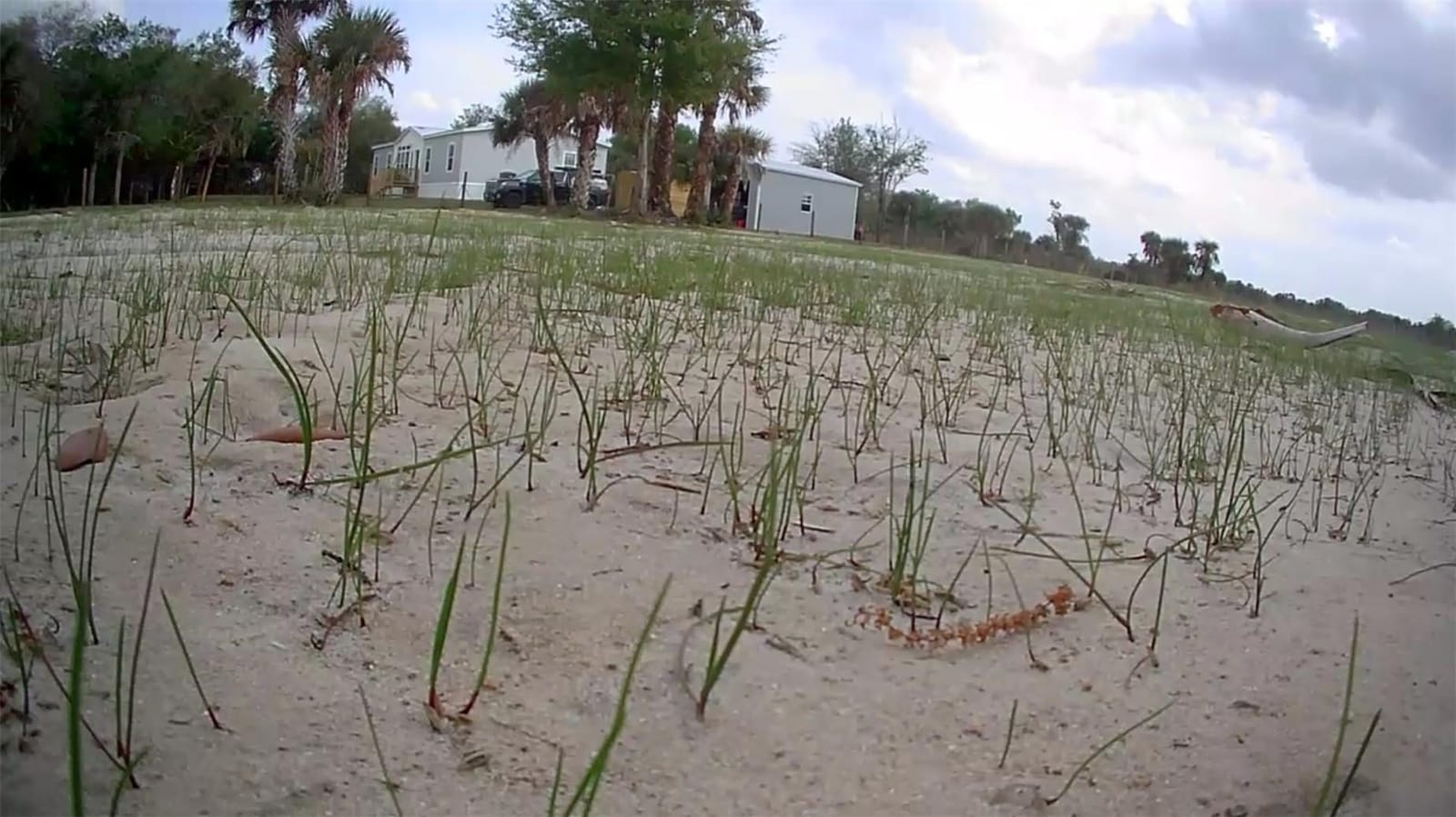 19374 NW 302nd Street, Okeechobee, FL 34972 photo 24