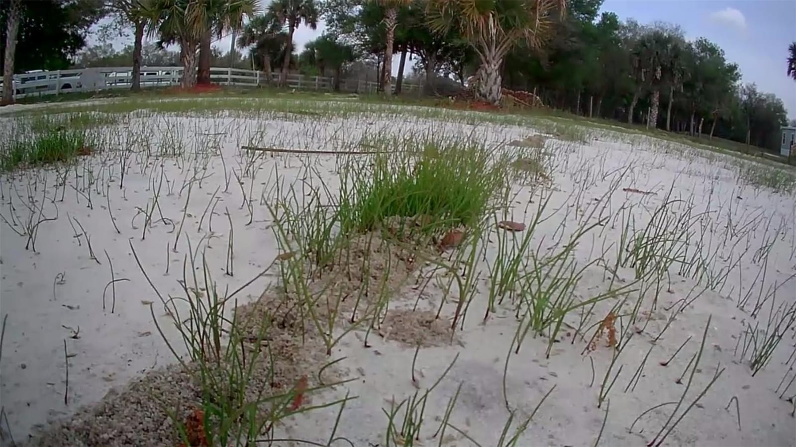 19374 NW 302nd Street, Okeechobee, FL 34972 photo 25