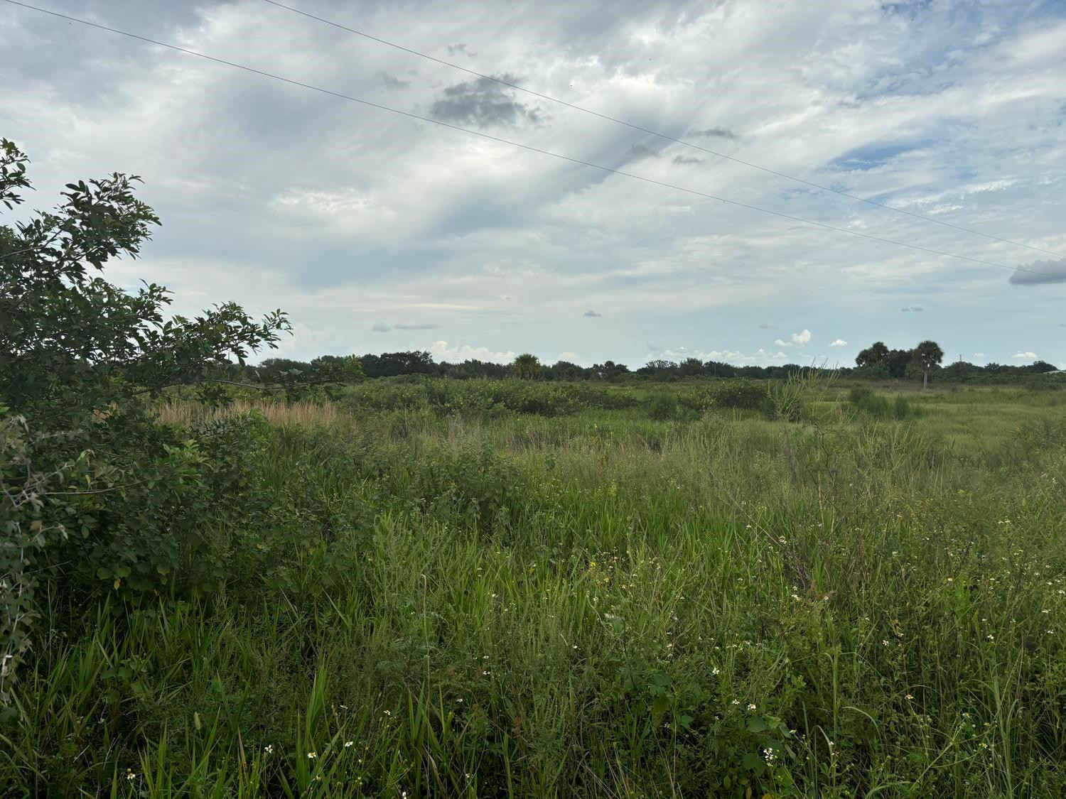 29800 NW 192nd Avenue, Okeechobee, FL 34972, Okeechobee