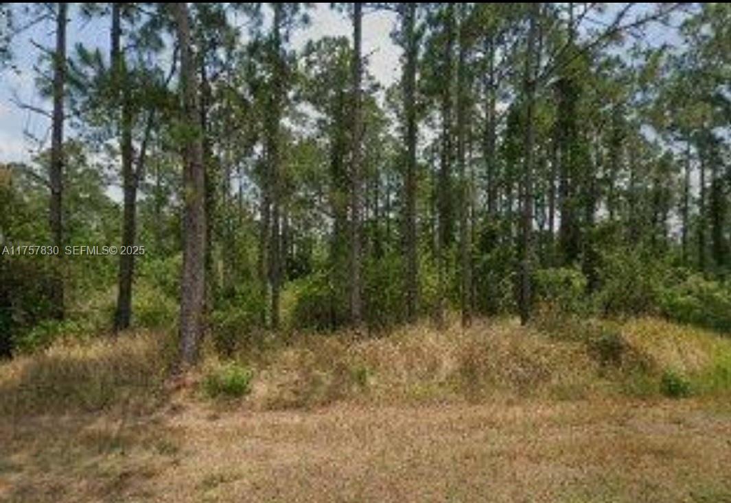 5112 Manati Avenue, Sebring, FL 33872, Sebring