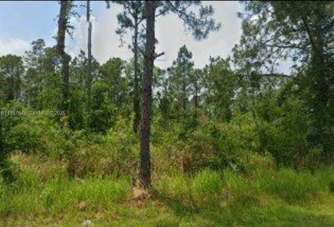 5115 Levante Drive, Sebring, FL 33872, Sebring