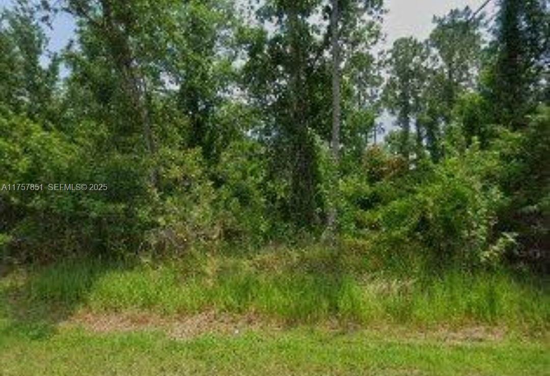 5026 Levante Drive, Sebring, FL 33872, Sebring