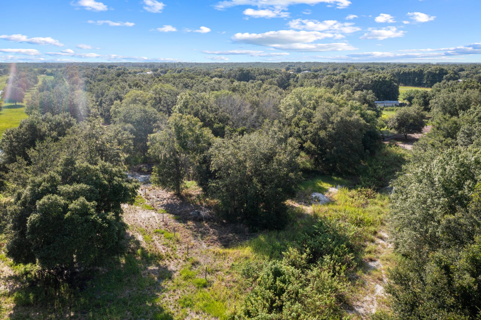 38203 8th Street E, Myakka City, FL 34251 photo 22