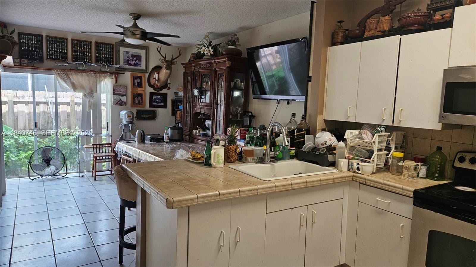 14231 SW 147th Place, Miami, FL 33196 photo 3