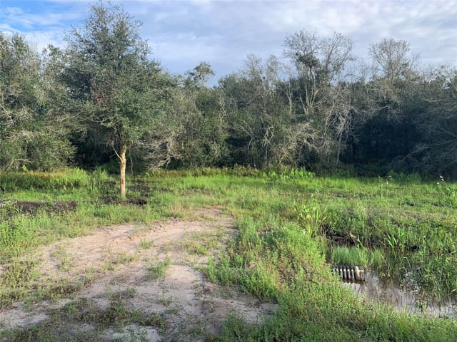 19079 NW 240th Street, Okeechobee, FL 34972