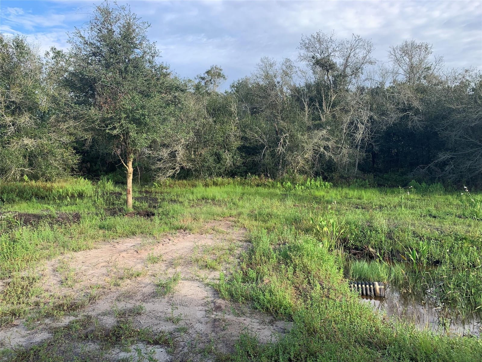 19079 NW 240th Street, Okeechobee, FL 34972 - photo 1 of 4