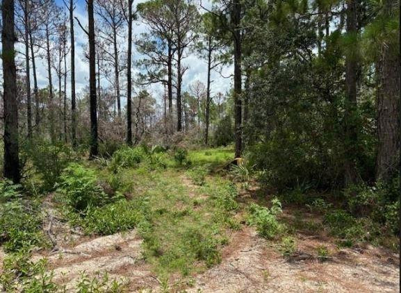 328 Claverton Drive, Lake Placid, FL 33852, Lake Placid