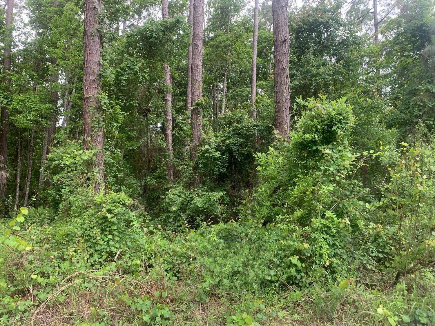 121 Coot Drive, Satsuma, FL 32148, Satsuma
